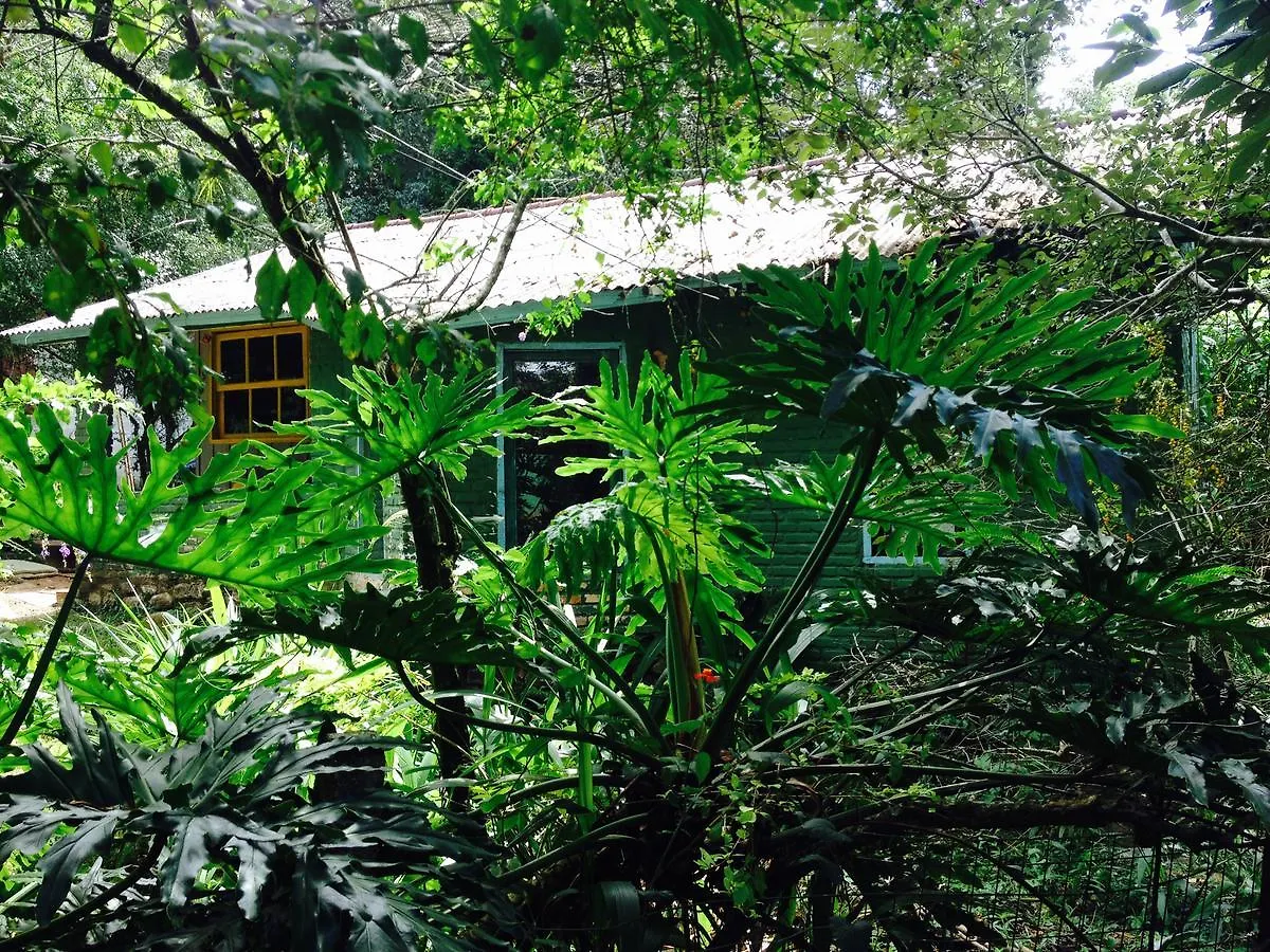 Cantinho Lagoa Da Conceicao Hostel Florianopolis