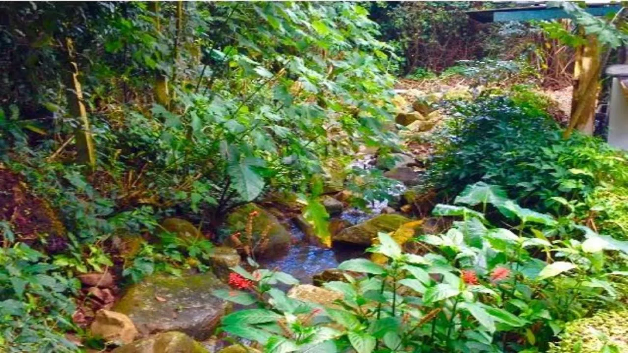 Cantinho Lagoa Da Conceicao Hostel Florianopolis Brazil