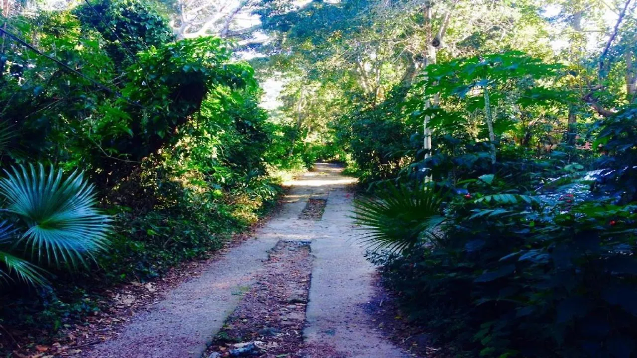 Cantinho Lagoa Da Conceicao Hostel Florianopolis 0*,